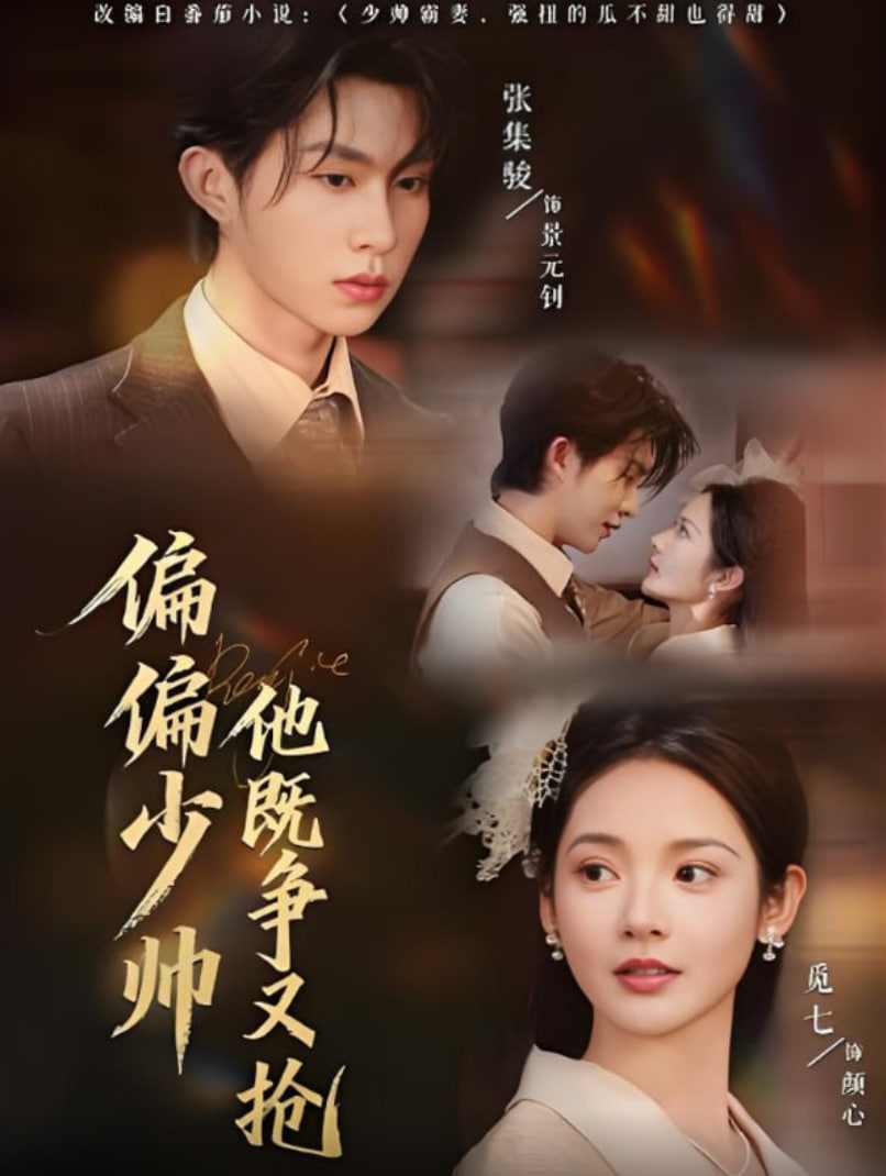 偏偏少帅他既争又抢封面图