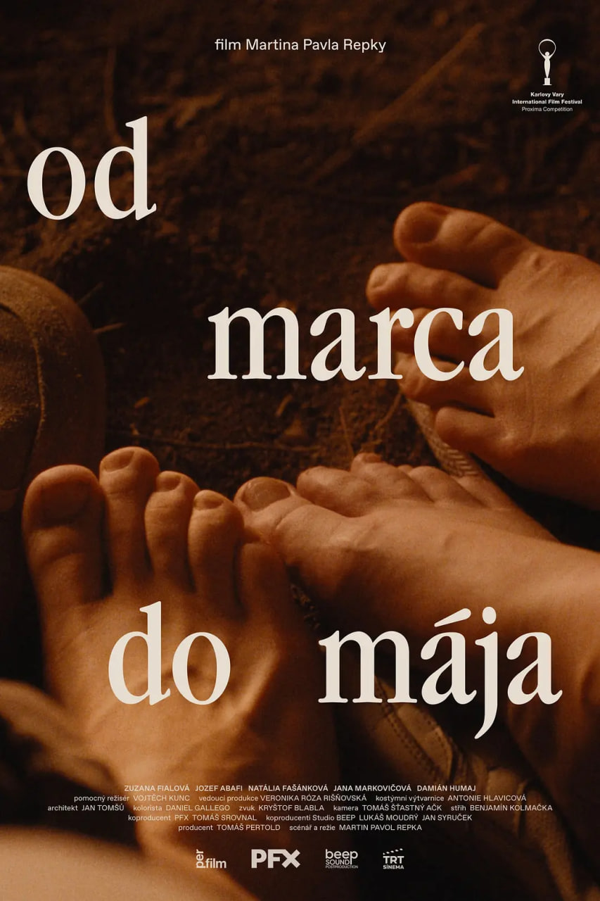 春来家事封面图