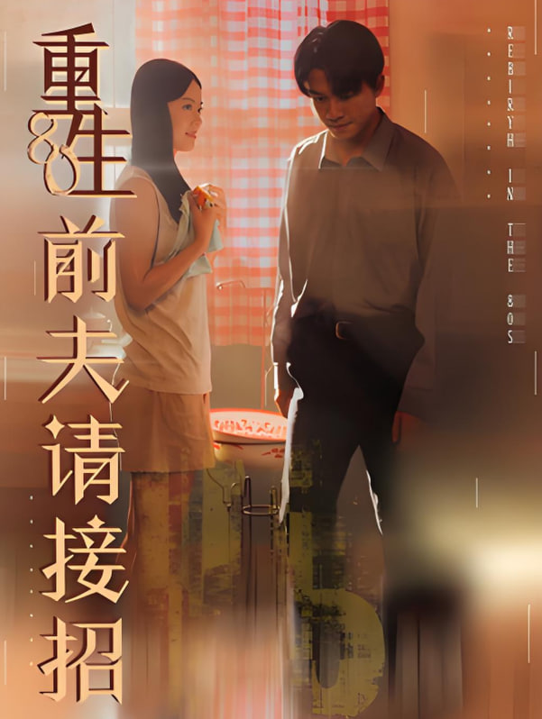 重生80前夫请接招封面图