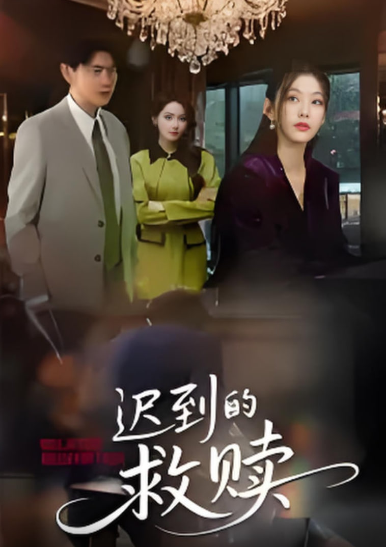 迟到的救赎 2025封面图