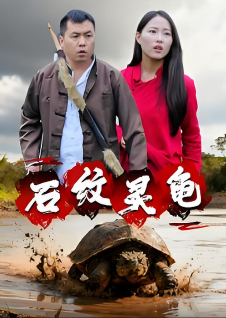 石纹灵龟封面图