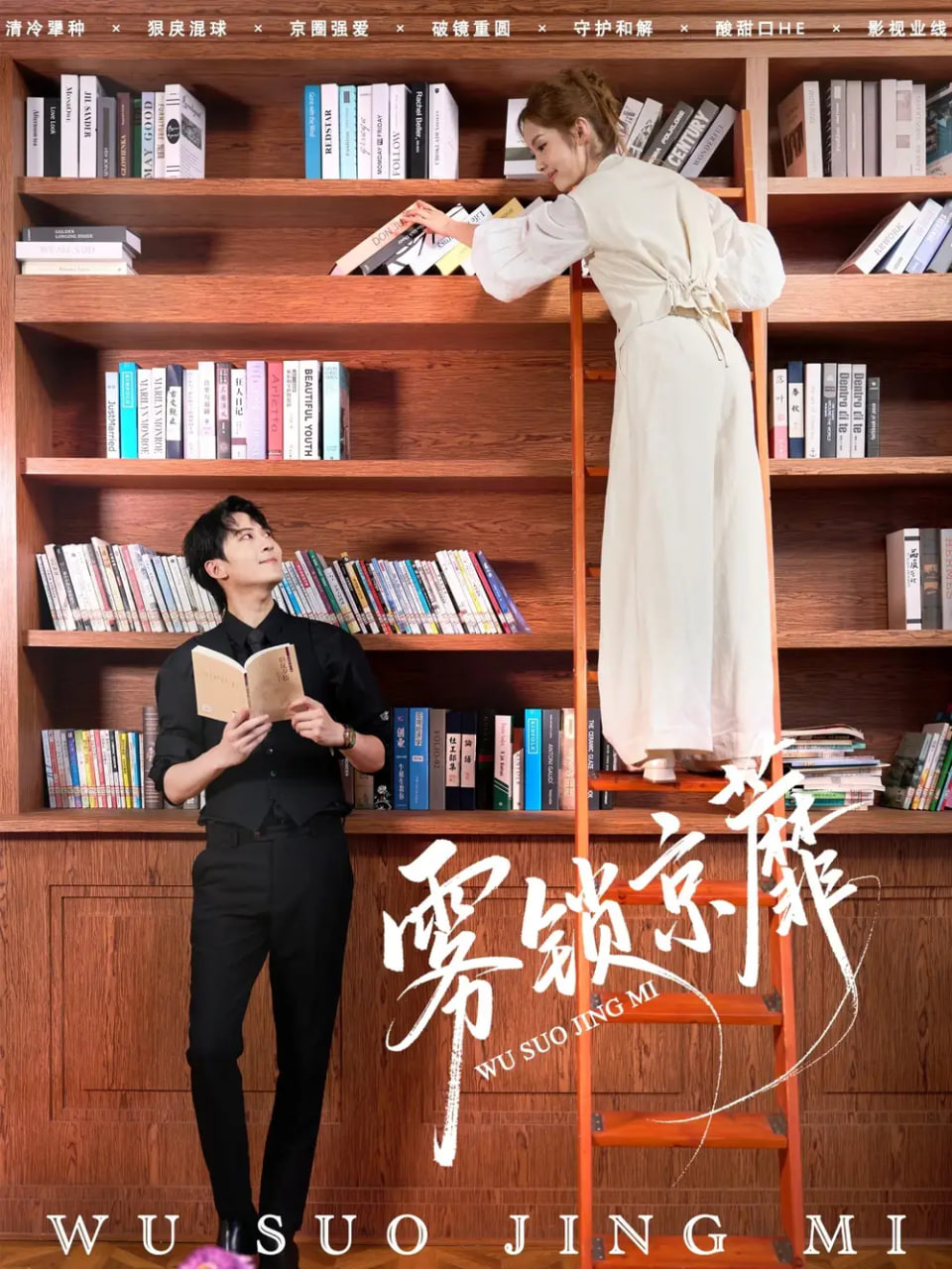 雾锁京蘼封面图