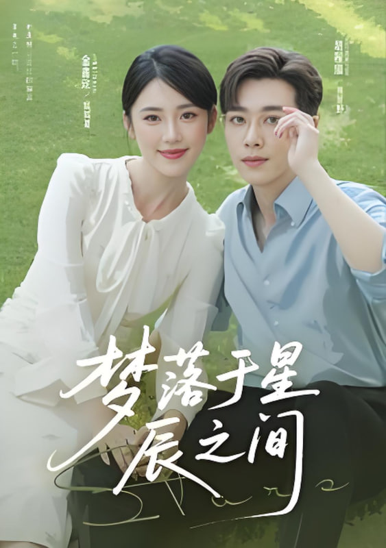 梦落于星辰之间封面图
