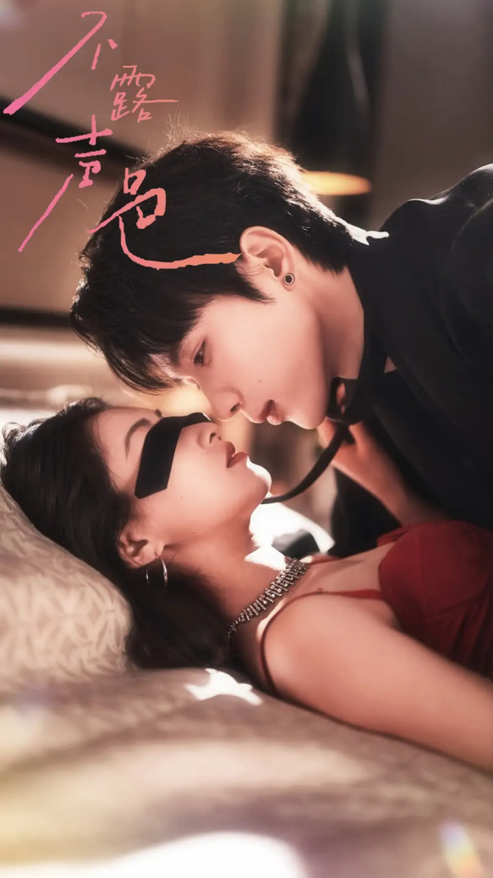 不露声色封面图