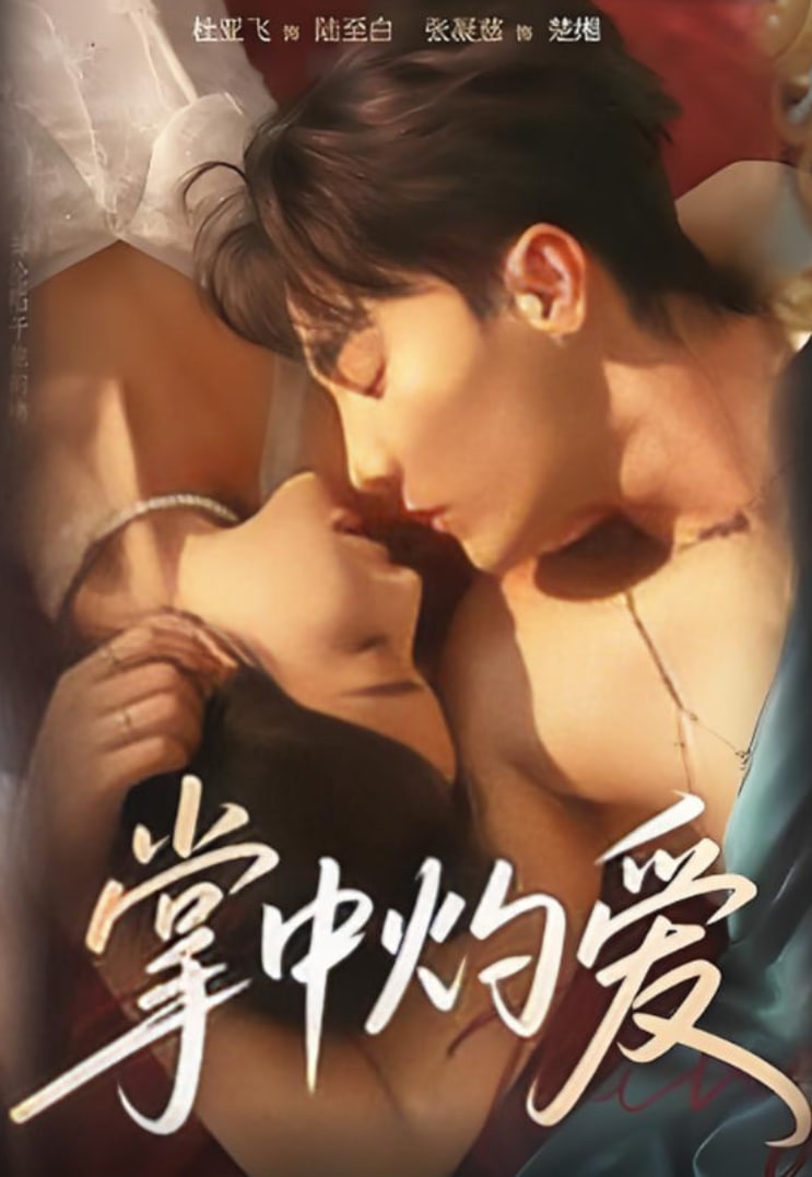 掌中灼爱封面图