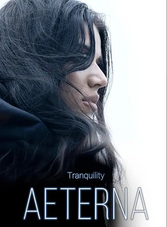 宁静3：永恒封面图