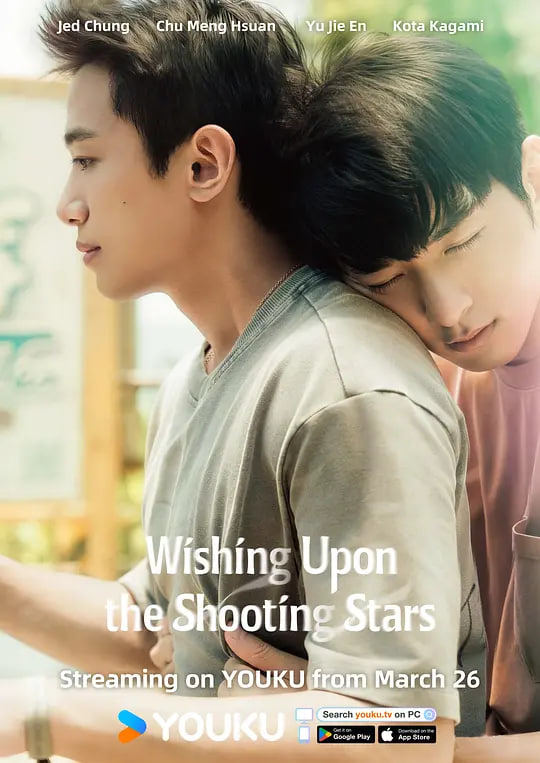 向流星许愿的我们封面图