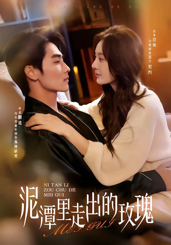 泥潭里走出的玫瑰封面图