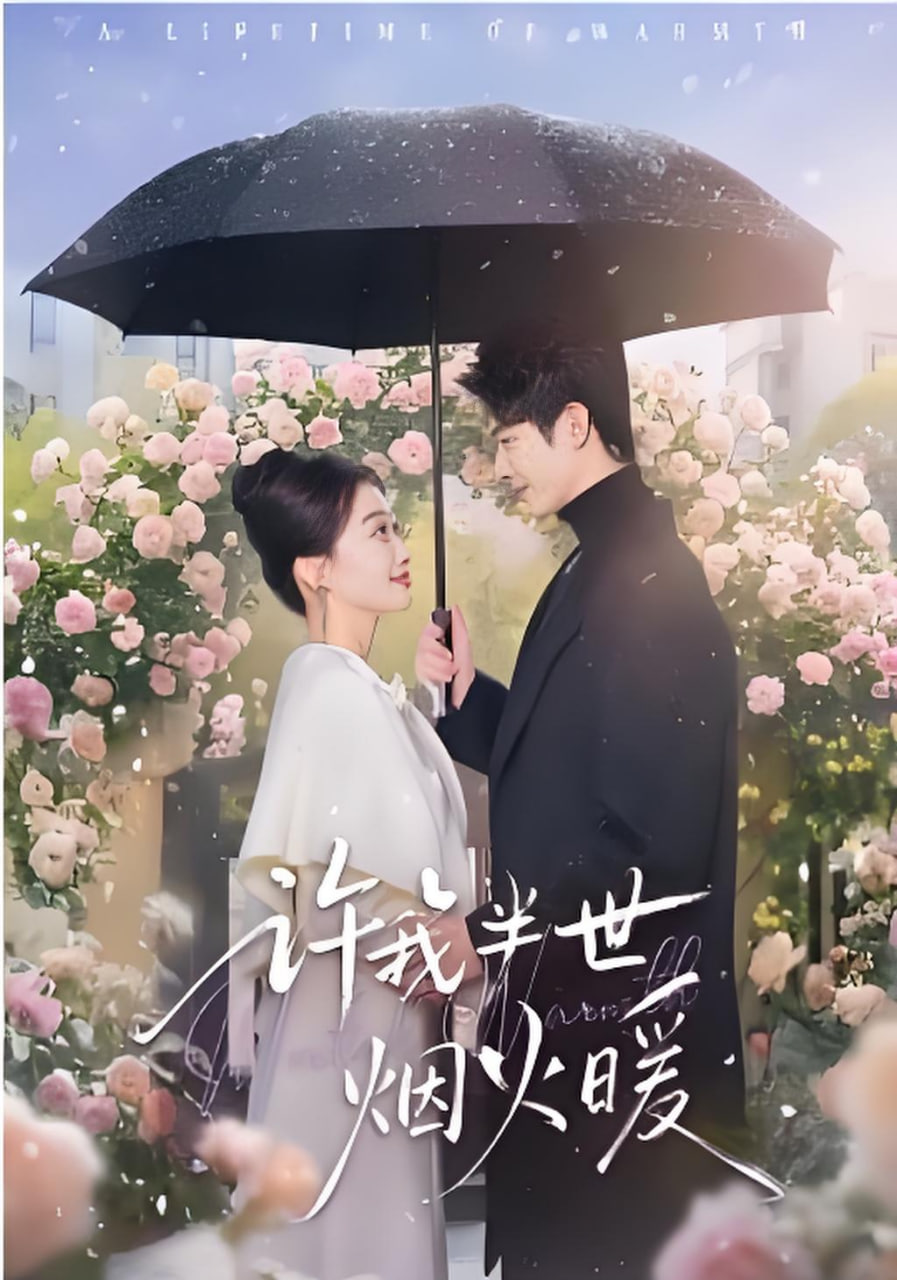 许我半世烟火暖封面图