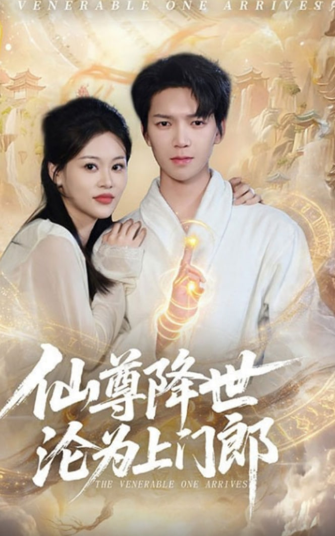 仙尊降世沦为上门郎封面图