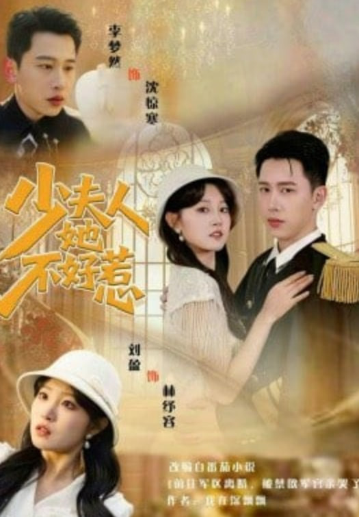 少夫人她不好惹封面图