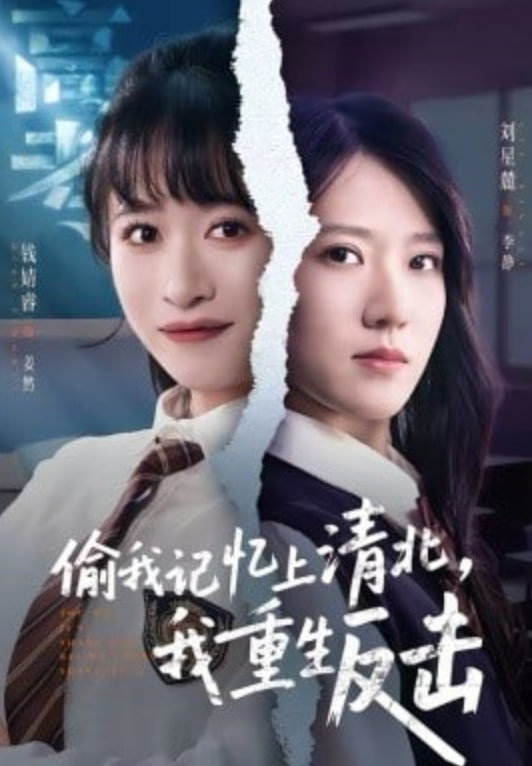 偷我记忆上清北，我重生反击封面图