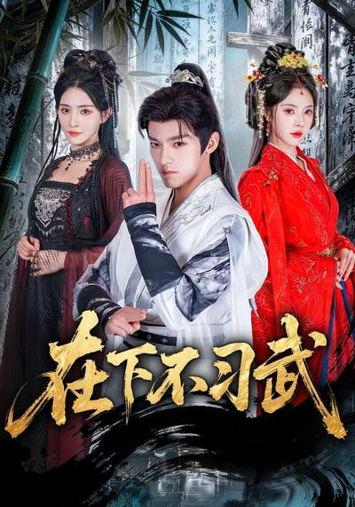 在下不习武封面图