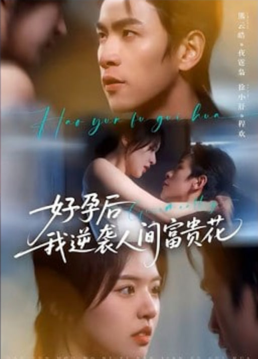 夜先生的小欢喜（好孕后我逆袭人间富贵花）封面图