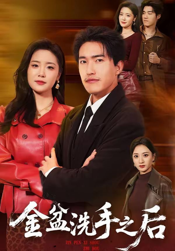 金盆洗手之后封面图