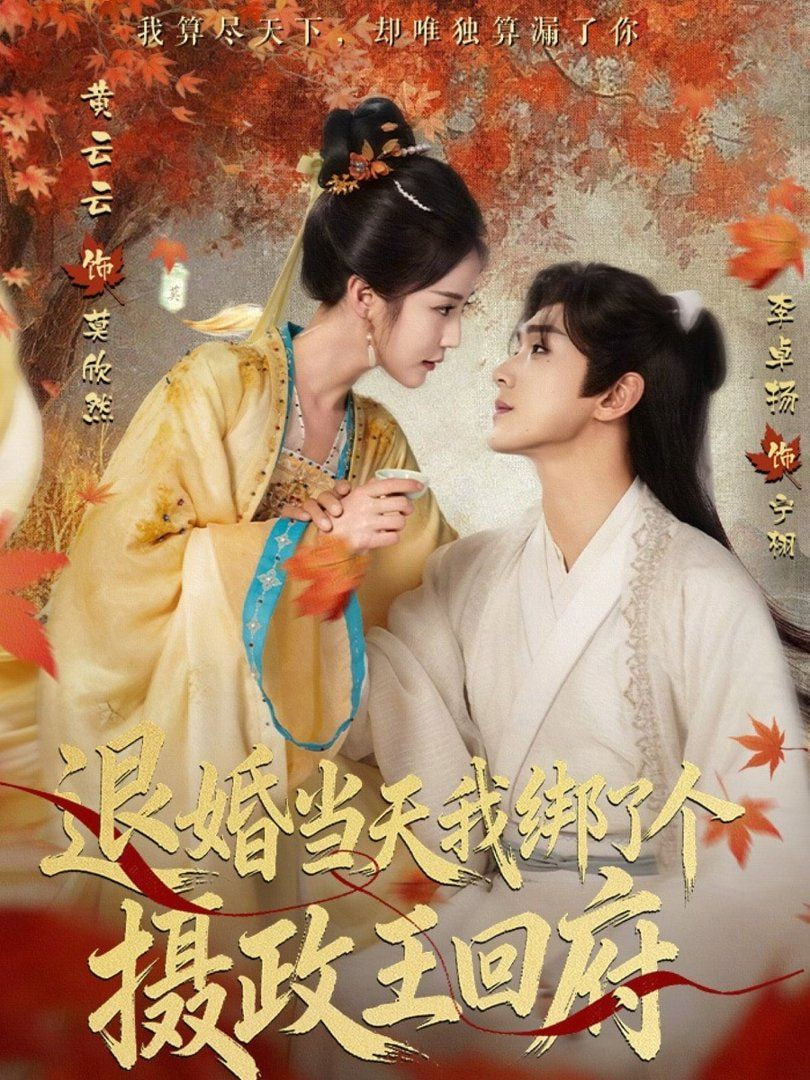 退婚当天我绑了个摄政王回府封面图
