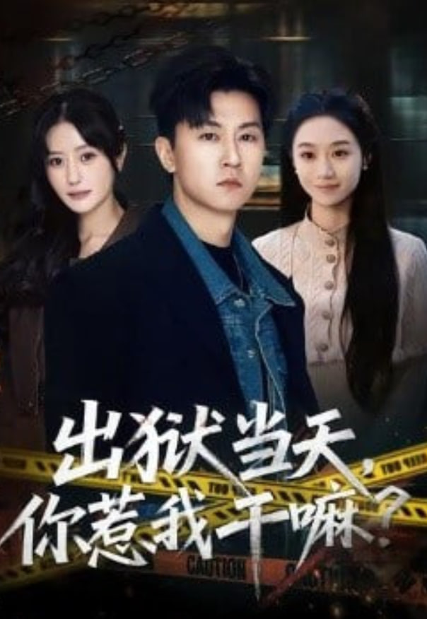出狱当天，你惹我干嘛？（出狱当天你惹我干嘛）封面图