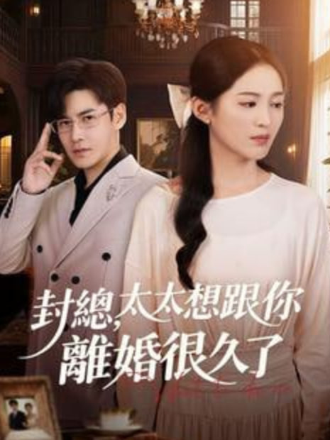 封总，太太跟你离婚很久了封面图