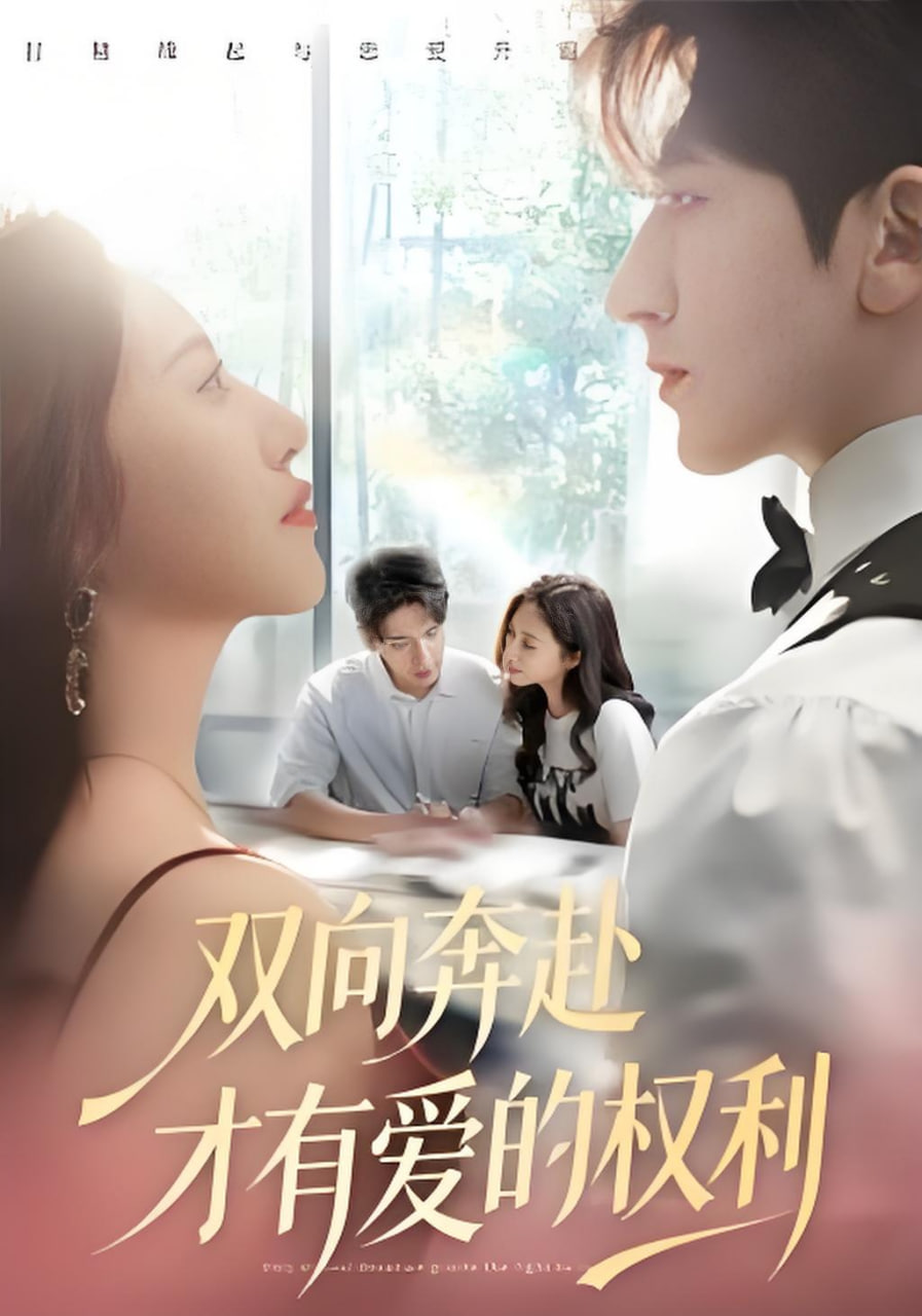 双向奔赴才有爱的权利封面图