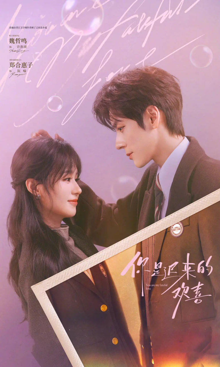 你是迟来的欢喜封面图