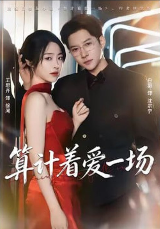 算计着爱一场封面图