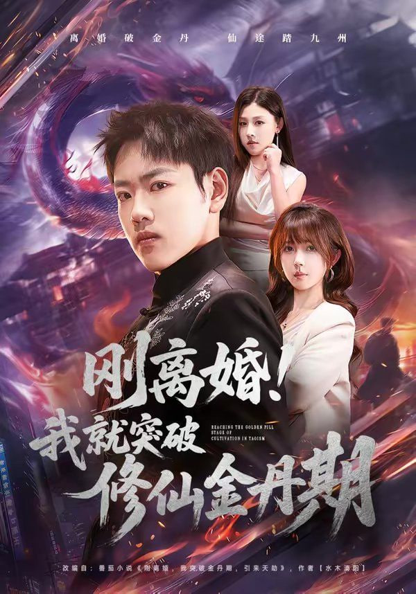 刚离婚！我就突破修仙金丹期封面图