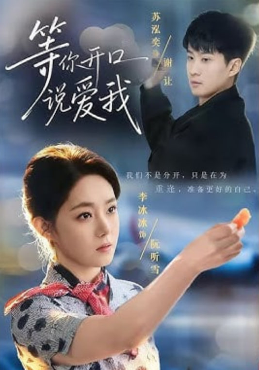 等你开口说爱我封面图