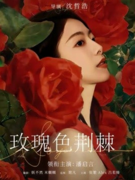 玫瑰色荆棘封面图