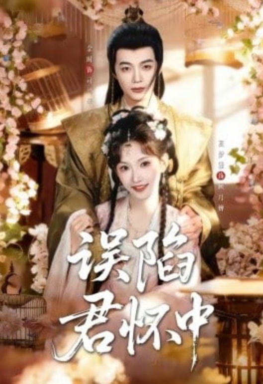 误陷君怀中封面图