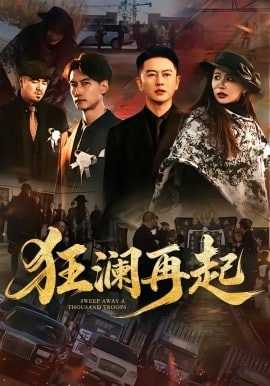 狂澜再起封面图