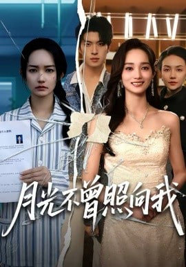 月光不曾照向我封面图