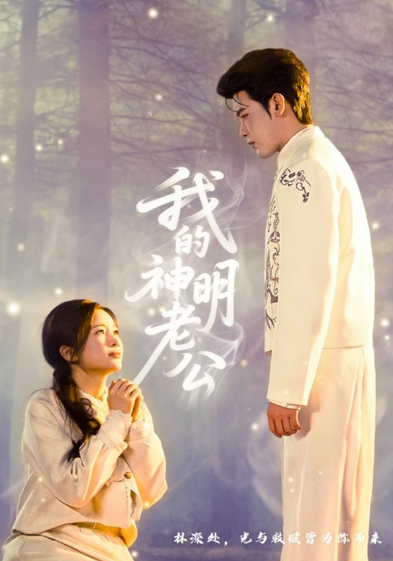 我的神明老公封面图