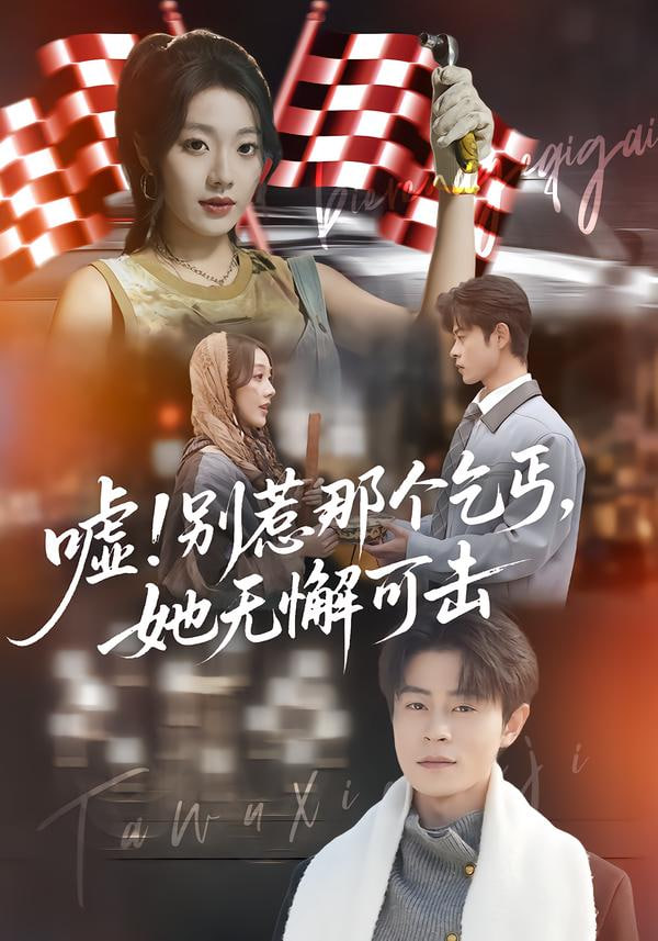 嘘！别惹那个乞丐，她无懈可击（嘘别惹那个乞丐她无懈可击）封面图