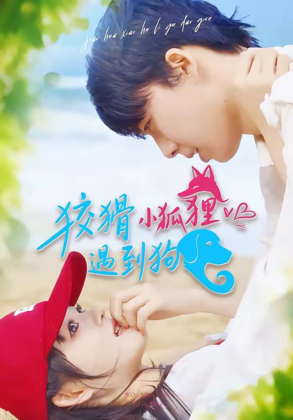 狡猾小狐狸遇到狗封面图