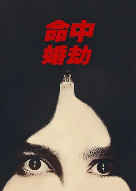 命中婚劫封面图