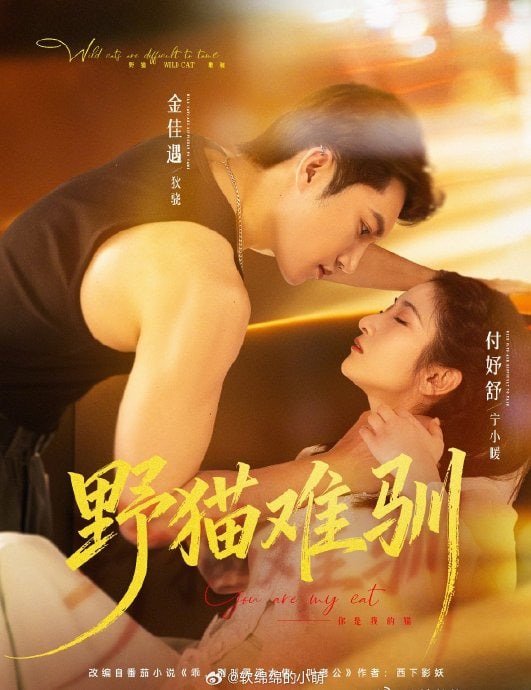 野猫难驯封面图