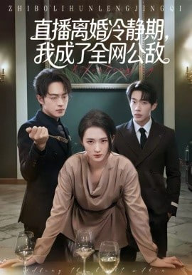 直播离婚冷静期，我成了全网公敌封面图