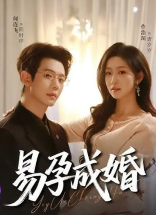 易孕成婚封面图