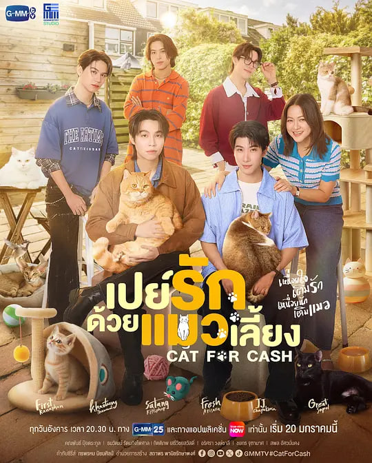 以猫饲爱封面图