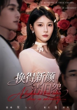 换得新颜清旧怨封面图