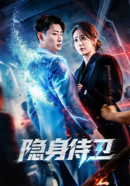 隐身侍卫封面图