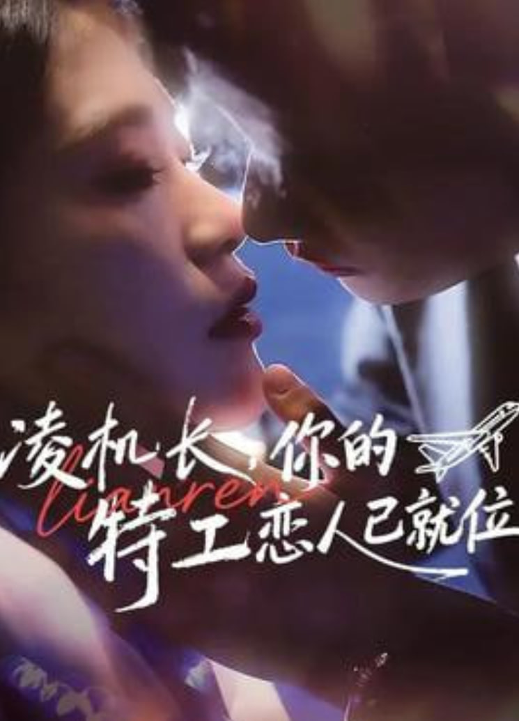 凌机长，你的特工恋人已就位封面图
