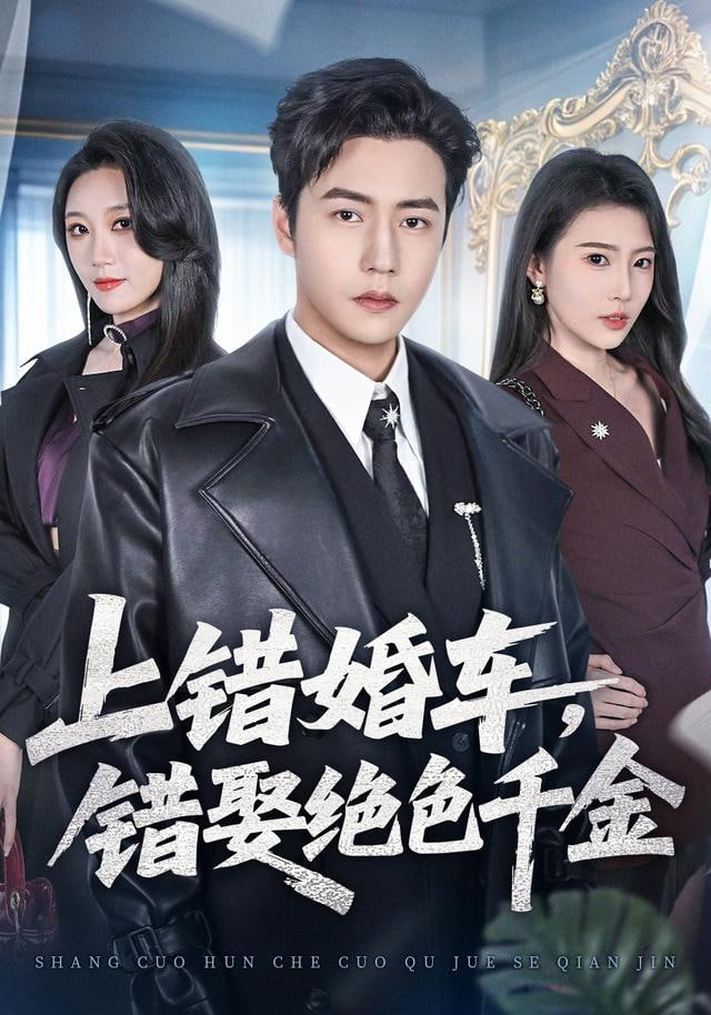 上错婚车，错娶绝色千金封面图