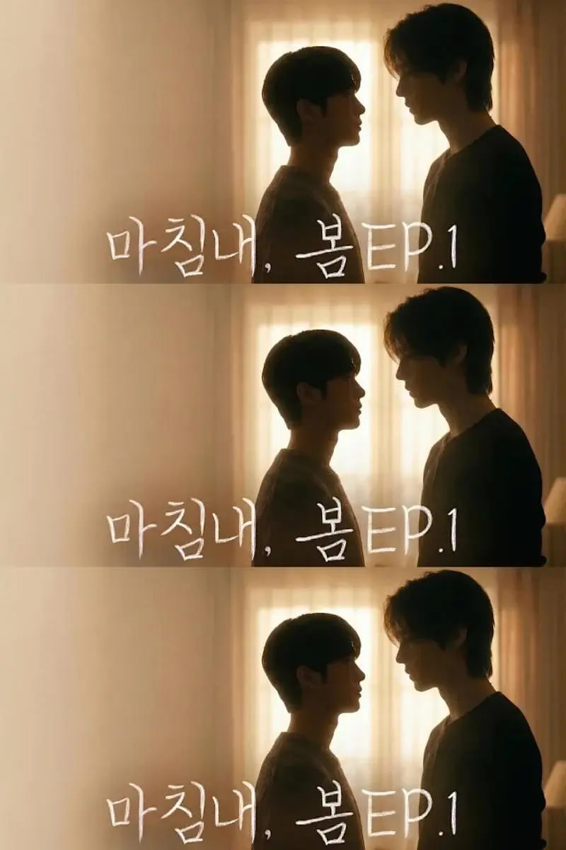 迟来的春天封面图