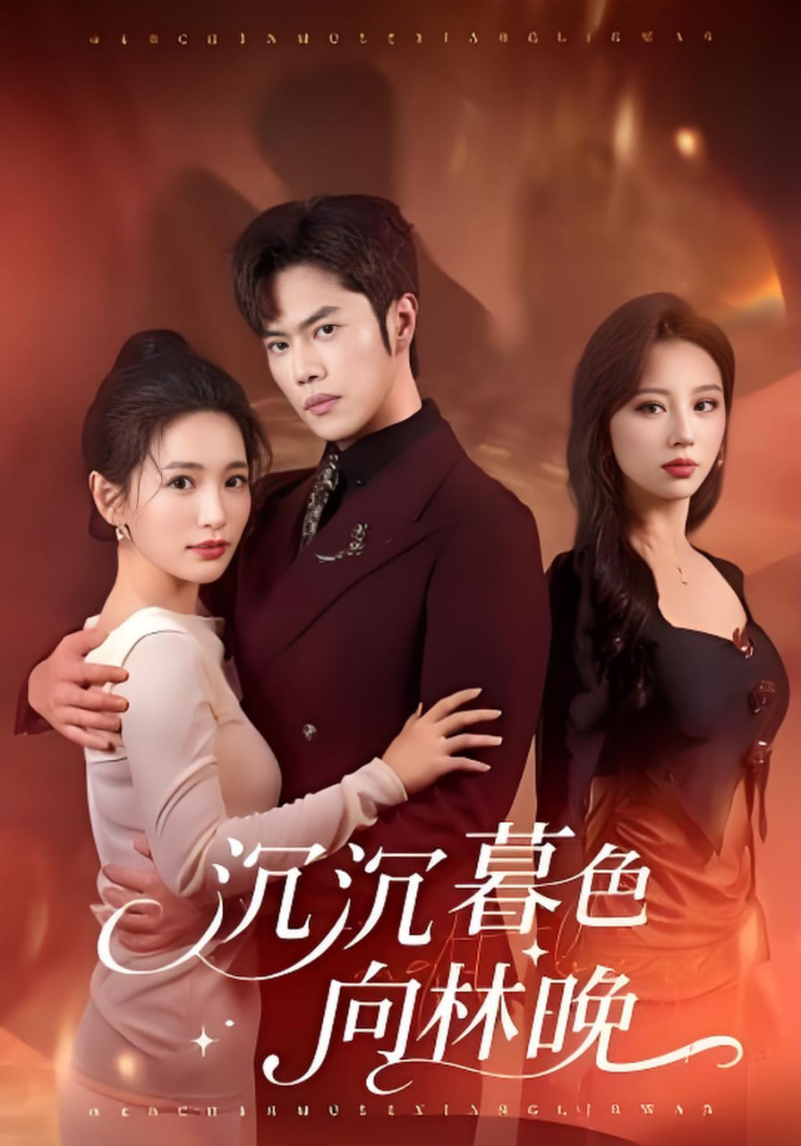 沉沉暮色向林晚封面图
