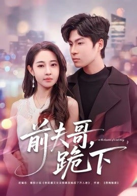 前夫哥，跪下封面图