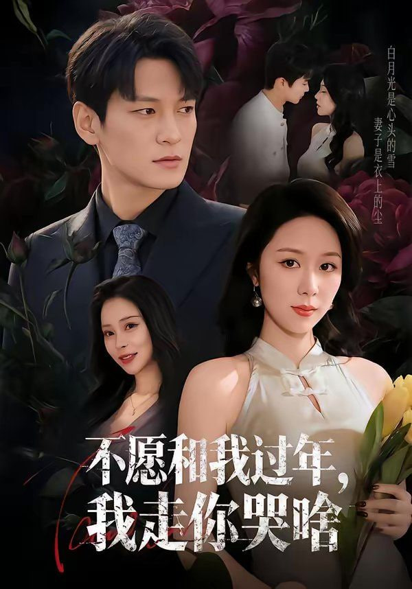 不愿和我过年，我走你哭啥封面图