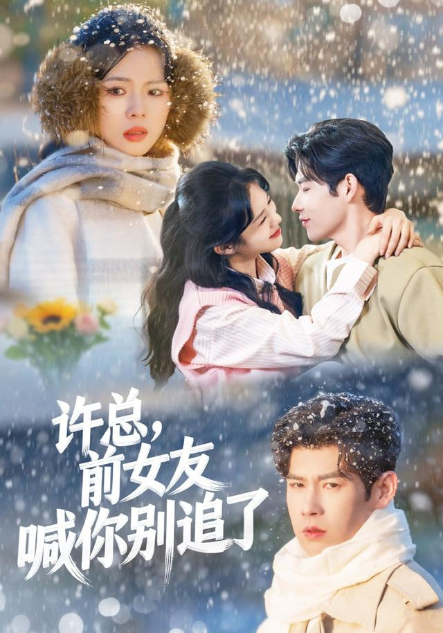 许总，前女友喊你别追了封面图