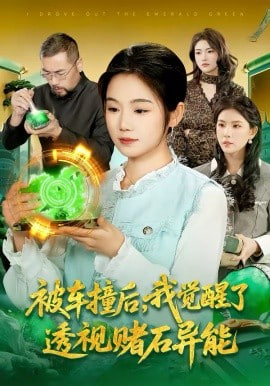 被车撞后，我觉醒了透视赌石异能了封面图