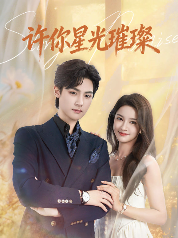 许你星光璀璨封面图